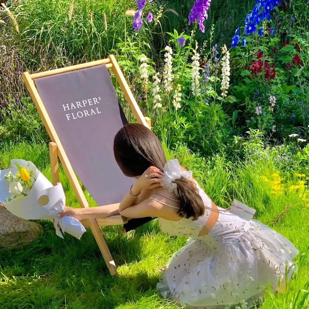 到青山那边去
